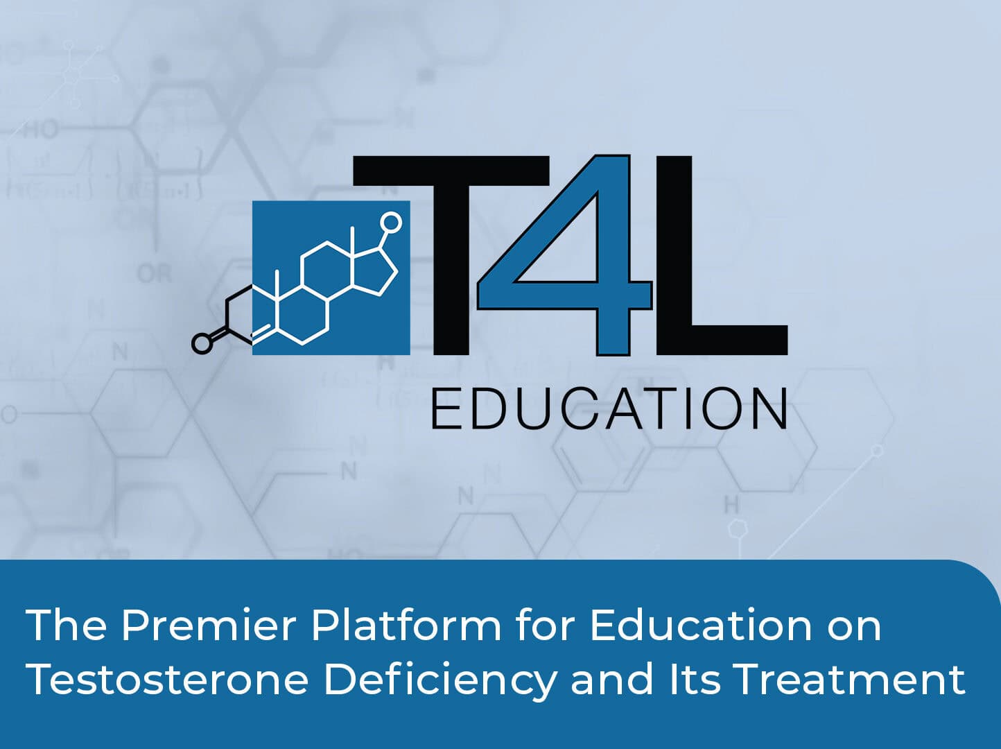 T4L Education logo